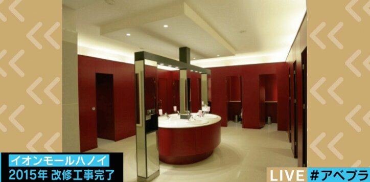 「トイレをおしゃれに」日本トイレ協会が唯一認めるデザイナー・小林純子さん、驚きのデザインの裏側