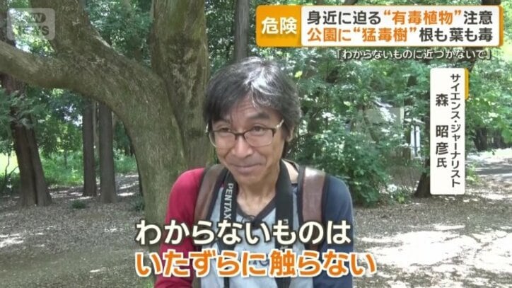 「分からないものに近づかないで」