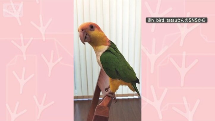 のんびりしてます