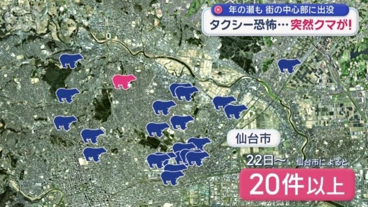 クマの目撃情報が20件以上