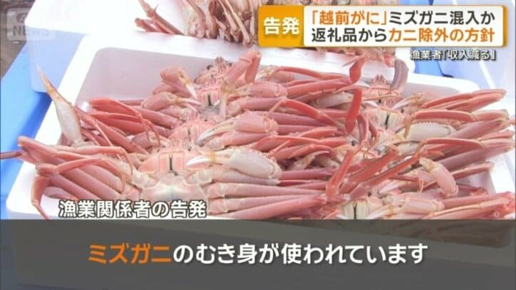 漁業関係者の告発