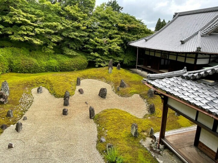 高橋真麻、娘から伝染した身体の症状「喉が焼けるように痛くて辛い」