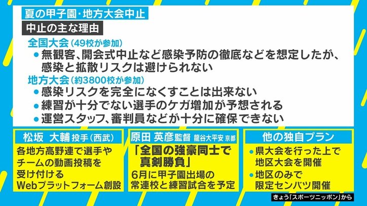 春夏連続の甲子園中止…球児救済に「独自大会」の動きも 松坂投手はWebサイト創設を提案