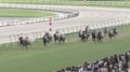 「最強に可愛い」“しっぽの色”に注目…新馬戦快勝の牝馬、希少かつ美しい“ルックス”も話題に「めっちゃ綺麗」「人気出そう」