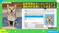 30万人のお墨付き…!? お手本のような“犬の証明写真”に「マジメで誠実そう」と称賛の声