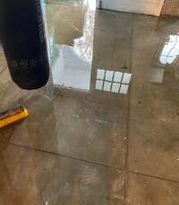 野沢直子『今日のサンフランシスコ』