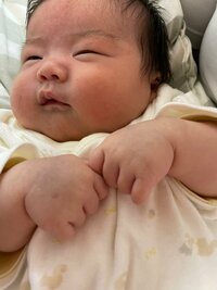 よめぽん（ANZEN漫才あらぽん嫁）『使ってびっくりよかった物』