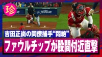 【映像】苦痛のあまり本塁付近をウロウロ歩く捕手