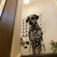 高岡早紀『東京は初雪』