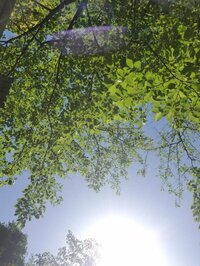 羽田美智子『特捜9 第8話』