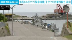体長1mのクマ「緊急捕獲」 子グマの目撃情報も 富山