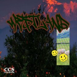 ビートメイカー：MADLISK、自身のルーツであるジャズ、ソウルを基調とした新作ビートテープ「WESTLAND」をリリース。