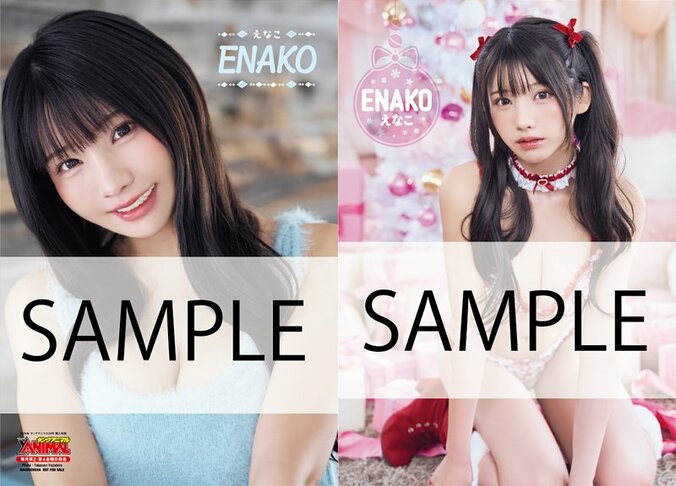 【特別付録】えなこ両面クリアファイル　B柄　