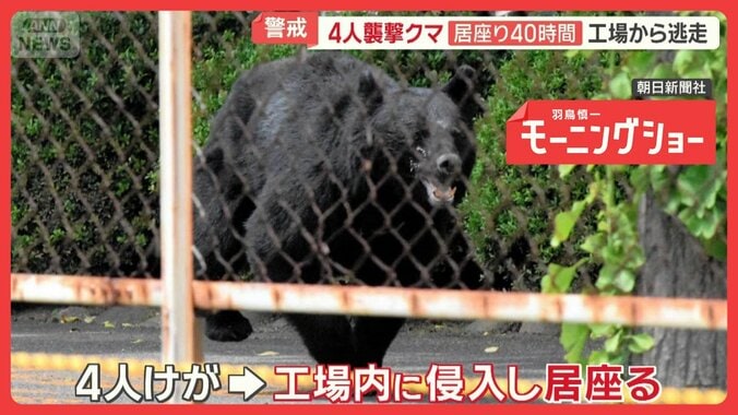 4人襲撃クマ　40時間居座った工場から逃走　市内にいる可能性…福島市は警戒呼びかけ 1枚目