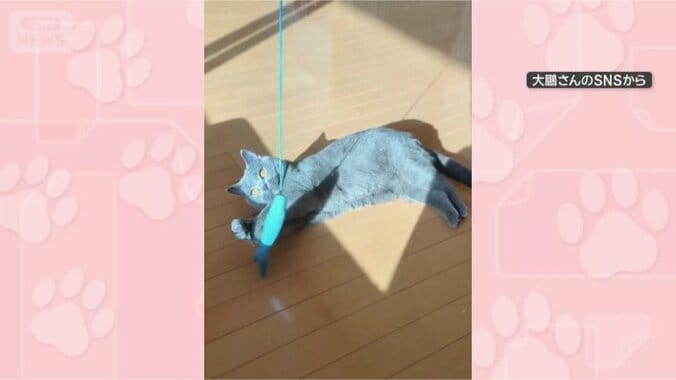 おもちゃ楽しい