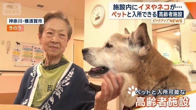 ペットと入所可能な高齢者施設