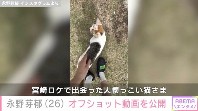永野芽郁 Instagramより