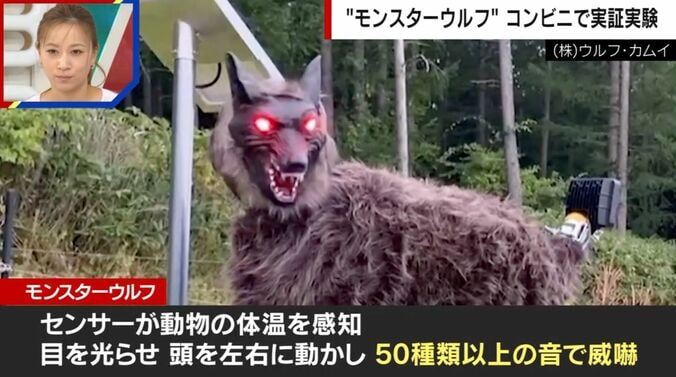 （株）ウルフ・カムイ