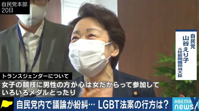 LGBT法案 自民党が条件つきで了承も議員たちの問題発言で浮き彫りになった“社会の理解不足” 6枚目