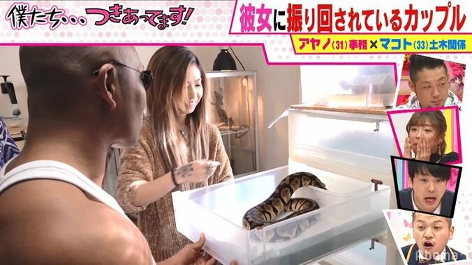 普通の一軒屋の引き出しから巨大な蛇が…100種類以上の爬虫類を飼う女性の家が凄すぎてかまいたち衝撃！「ウソだろ！？」 1枚目