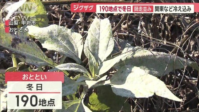 190地点で0℃未満となる冬日に