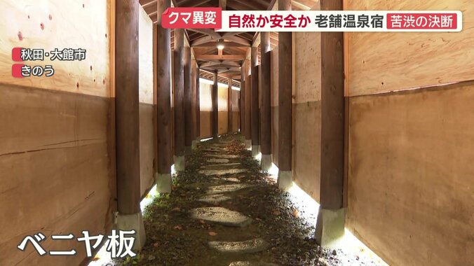 自然と一体の渡り廊下にベニヤ板