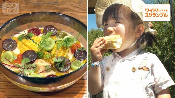 「モロ活」ブームとは？トウモロコシ人気爆発！　ラーメンやアイスも…ガチ勢は農園へ 1枚目