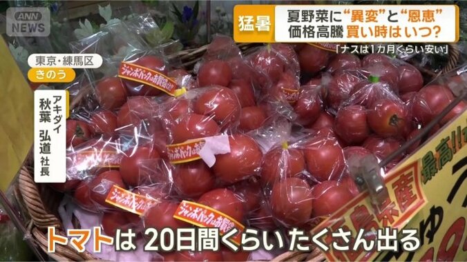 「これからは安くなります」