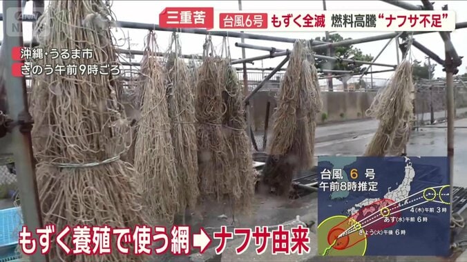 網も高騰