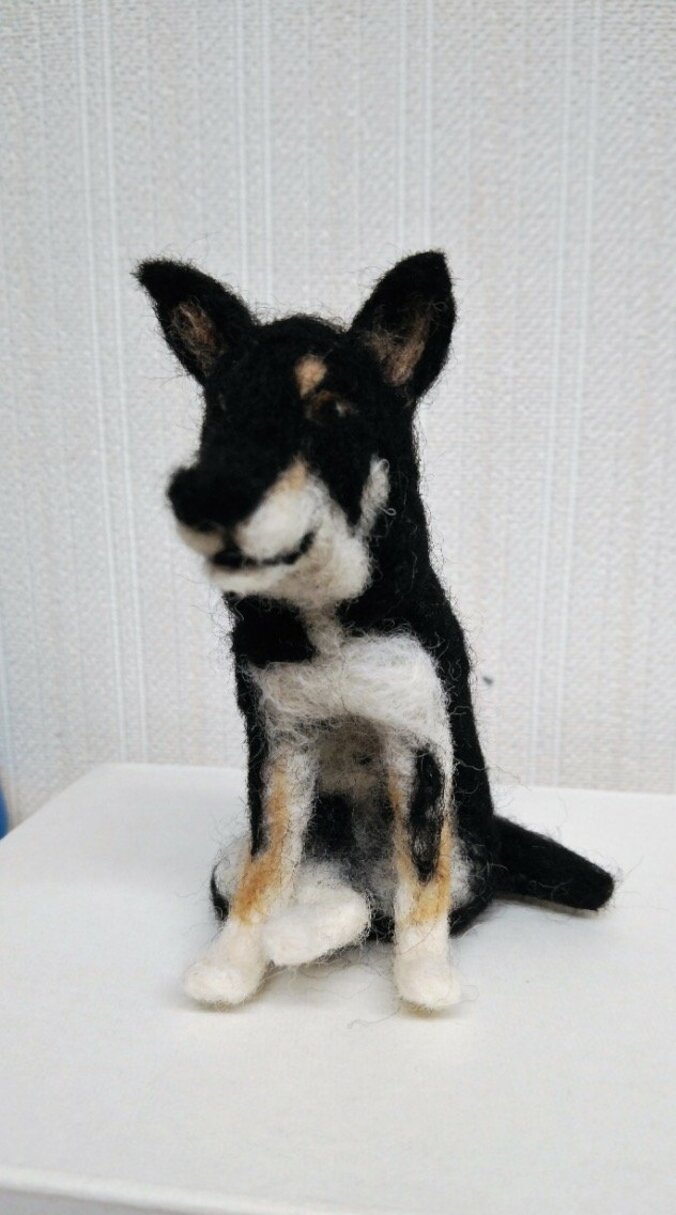 柴田理恵、光浦靖子からの手作りプレゼントに大感動「ホントに器用」 1枚目