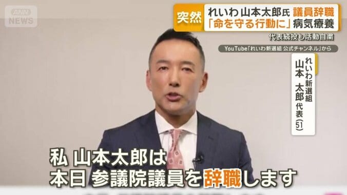 2013年の参議院選挙で初当選