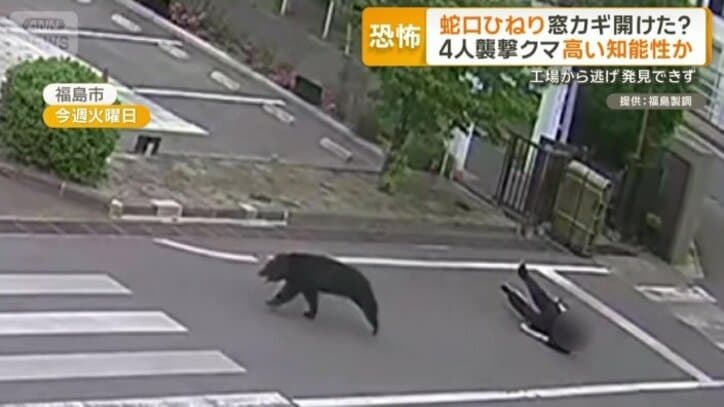 4人を相次いで襲ったクマ