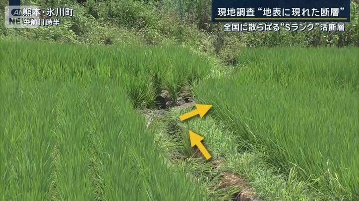隆起