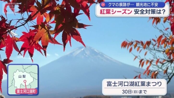 山梨県・富士河口湖町