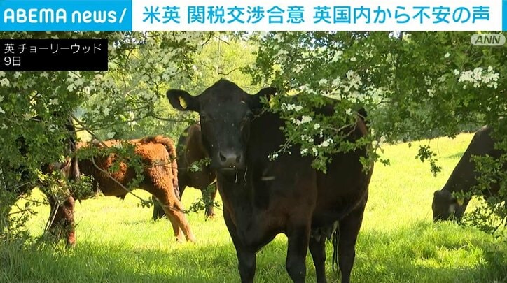 牛