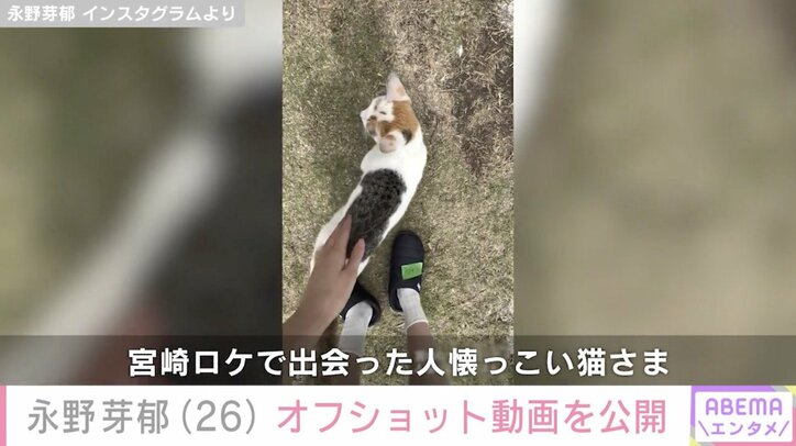 永野芽郁 Instagramより