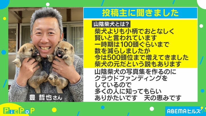 雪原を駆けた先にはまさかの…!? 2匹の仔犬と猫のたわむれ動画が380万回再生の大反響「ずっと見てられるくらい可愛い」