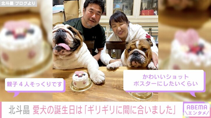 北斗晶、夫・佐々木健介と愛犬2匹との家族写真を公開し「親子4人そっくり」の声