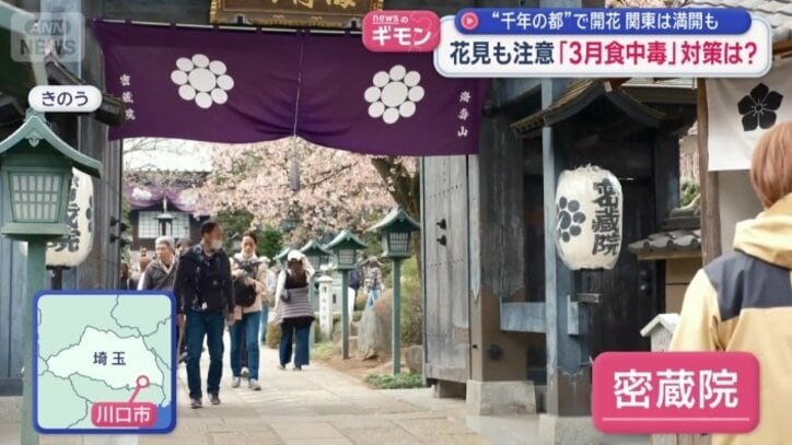 埼玉県川口市の「密蔵院」