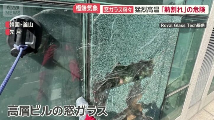 高層ビルの窓ガラス