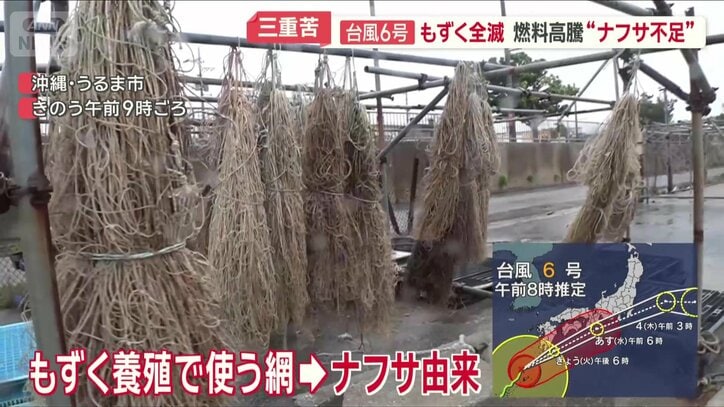 網も高騰