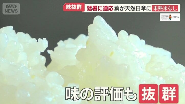 味の評価も抜群