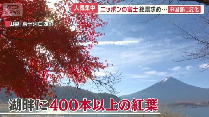 河口湖の湖畔には400本以上の紅葉
