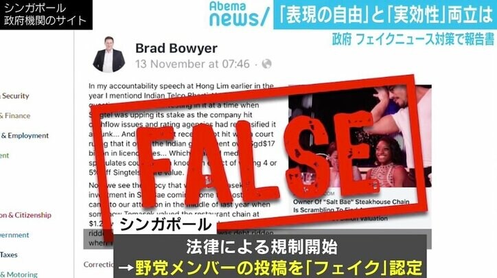 フェイクニュース対策、民間主体で自然淘汰できる? 石戸諭氏「プラットフォーマーにも責任を」