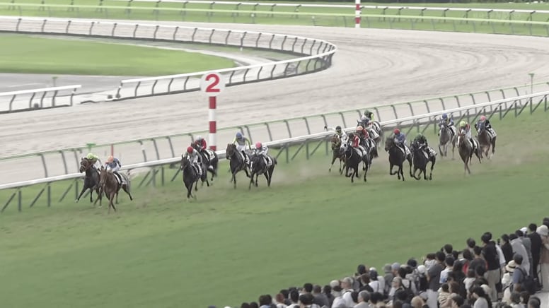 「最強に可愛い」“しっぽの色”に注目…新馬戦快勝の牝馬、希少かつ美しい“ルックス”も話題に「めっちゃ綺麗」「人気出そう」