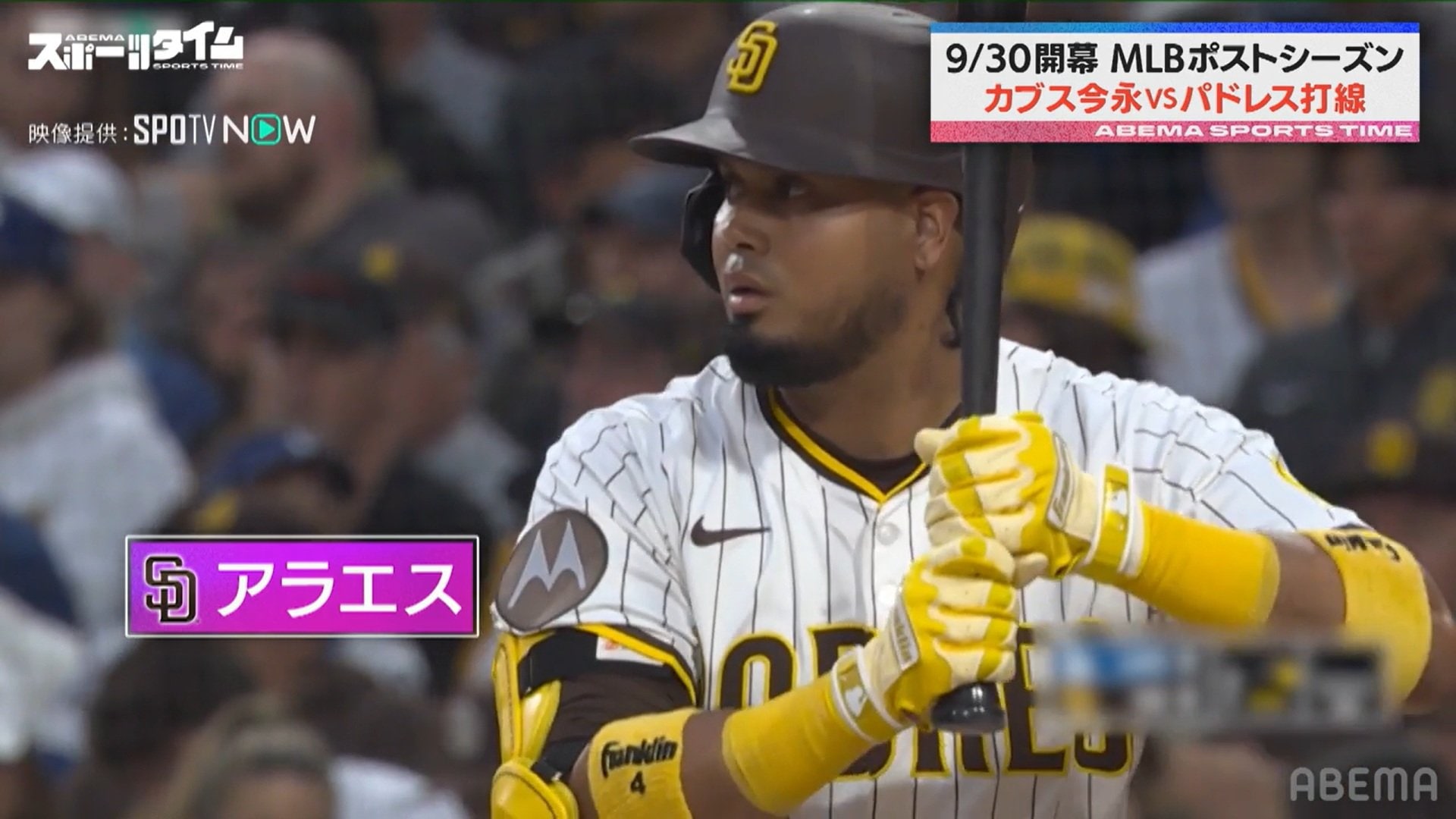 【写真・画像】　2枚目