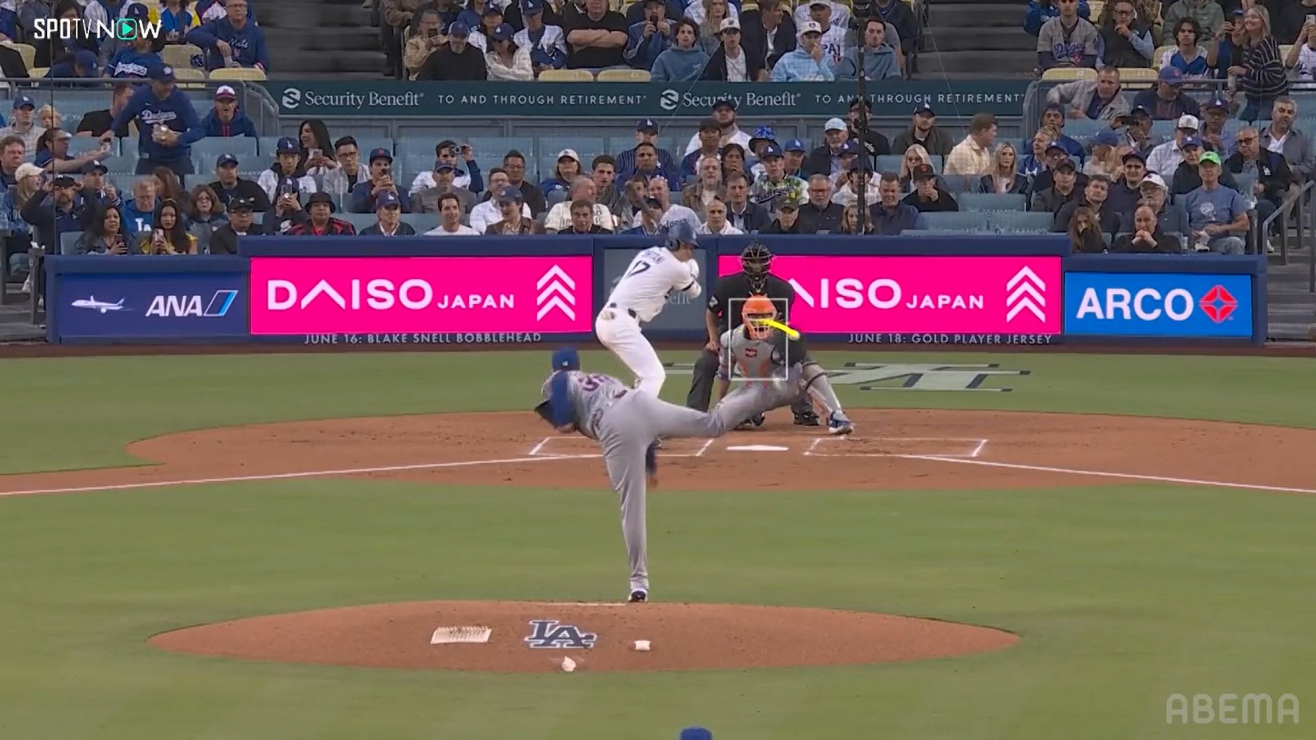 【写真・画像】　1枚目