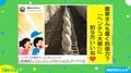 農家もびっくり？ 美しすぎる大根に絶賛の嵐「もはや芸術作品」「ソフトクリームかと思った」