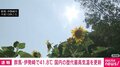 群馬県・伊勢崎で41.8℃ 国内の歴代最高気温を更新