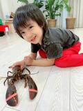 アレク、息子がロブスターを飼うと言い出し困惑「食べれないよね」